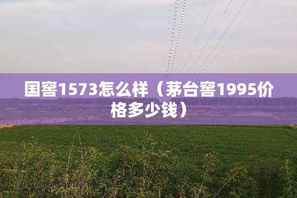 国窖1573怎么样(茅台窖1995价格多少钱) 国窖1573怎么样(茅台窖1995价格多少钱)