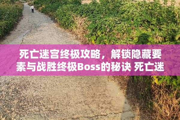 死亡迷宫终极攻略,解锁隐藏要素与战胜终极Boss的秘诀 死亡迷宫游戏攻略