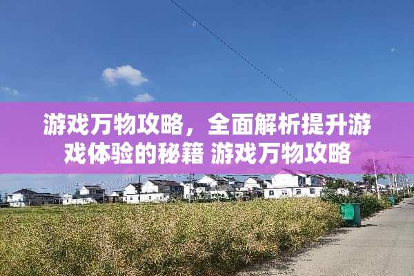 游戏万物攻略,全面解析提升游戏体验的秘籍 游戏万物攻略 游戏万物攻略,全面解析提升游戏体验的秘籍 游戏万物攻略