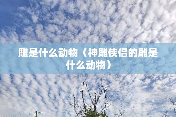 雕是什么动物(神雕侠侣的雕是什么动物) 雕是什么动物(神雕侠侣的雕是什么动物)