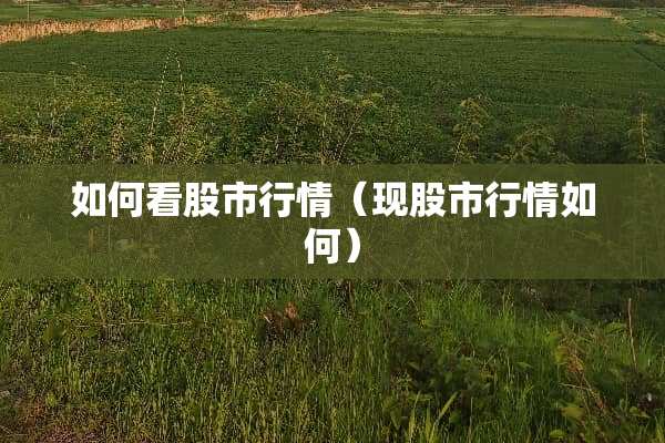 如何看股市行情(现股市行情如何) 如何看股市行情(现股市行情如何)