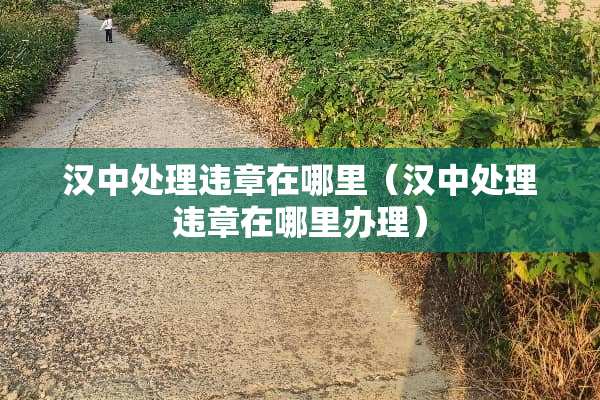 汉中处理违章在哪里(汉中处理违章在哪里办理) 汉中处理违章在哪里(汉中处理违章在哪里办理)