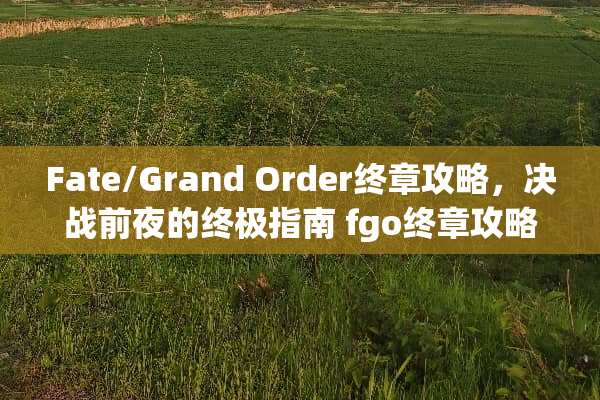 Fate/Grand Order终章攻略,决战前夜的终极指南 fgo终章攻略 Fate/Grand Order终章攻略,决战前夜的终极指南 fgo终章攻略
