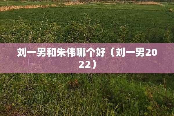 刘一男和朱伟哪个好(刘一男2022) 刘一男和朱伟哪个好(刘一男2022)