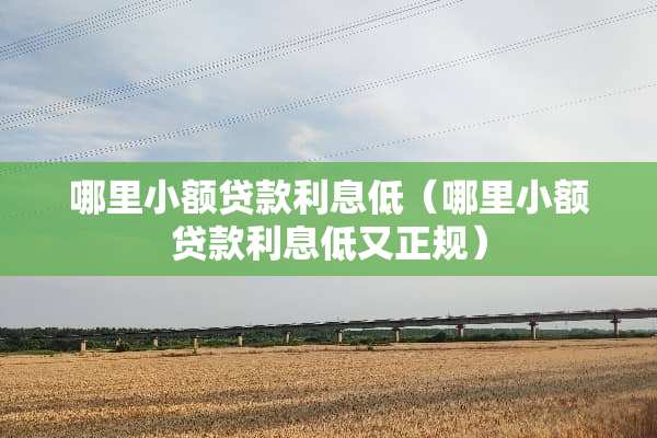 哪里小额贷款利息低(哪里小额贷款利息低又正规) 哪里小额贷款利息低(哪里小额贷款利息低又正规)