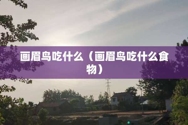 画眉鸟吃什么(画眉鸟吃什么食物) 画眉鸟吃什么(画眉鸟吃什么食物)
