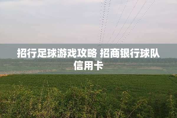 招行**游戏攻略 招商银行球队***