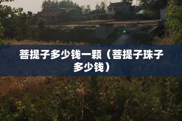**子多少钱一颗（**子珠子多少钱）