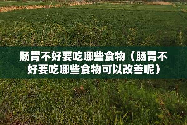 肠胃不好要吃哪些食物(肠胃不好要吃哪些食物可以改善呢) 肠胃不好要吃哪些食物(肠胃不好要吃哪些食物可以改善呢)