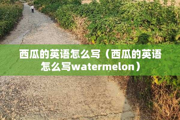西瓜的英语怎么写(西瓜的英语怎么写watermelon) 西瓜的英语怎么写(西瓜的英语怎么写watermelon)