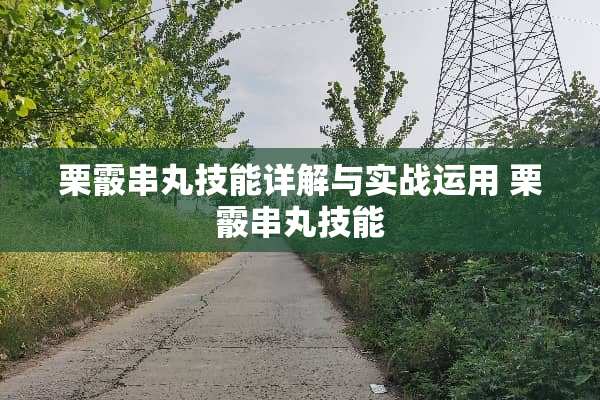 栗霰串丸技能详解与实战运用 栗霰串丸技能 栗霰串丸技能详解与实战运用 栗霰串丸技能