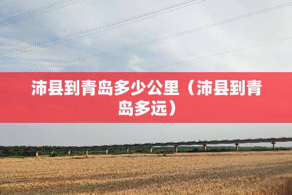 沛县到青岛多少公里(沛县到青岛多远) 沛县到青岛多少公里(沛县到青岛多远)
