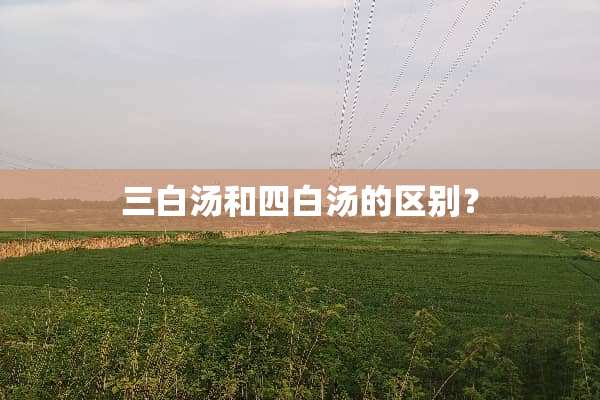三白汤和四白汤的区别？