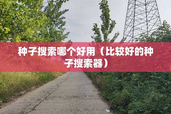 种子搜索哪个好用(比较好的种子搜索器) 种子搜索哪个好用(比较好的种子搜索器)