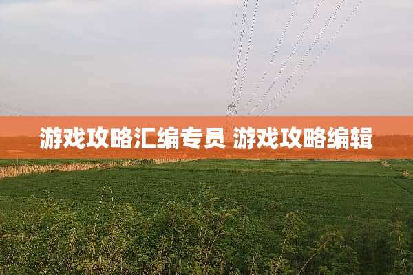 游戏攻略汇编专员 游戏攻略编辑 游戏攻略汇编专员 游戏攻略编辑