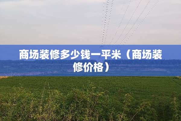 商场装修多少钱一平米(商场装修价格) 商场装修多少钱一平米(商场装修价格)
