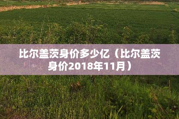 比尔盖茨身价多少亿(比尔盖茨身价2018年11月) 比尔盖茨身价多少亿(比尔盖茨身价2018年11月)