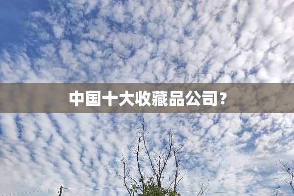 中国十大收藏品公司？