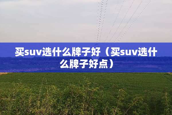 买suv选什么牌子好(买suv选什么牌子好点) 买suv选什么牌子好(买suv选什么牌子好点)