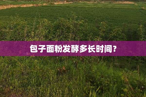 包子面粉发酵多长时间？