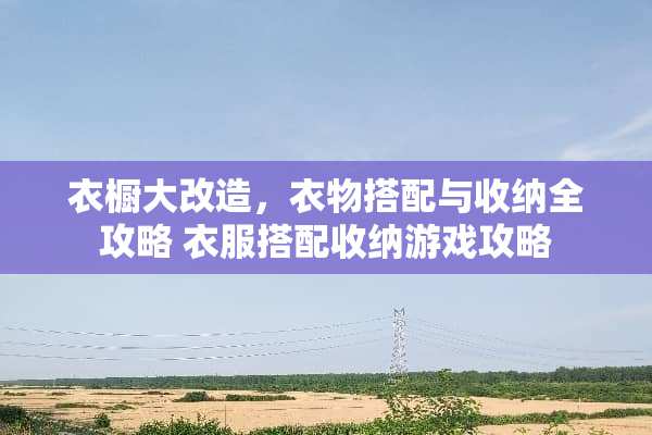 衣橱大改造，衣物搭配与收纳全攻略 衣服搭配收纳游戏攻略