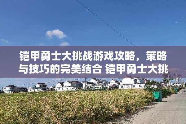 铠甲勇士大挑战游戏攻略，策略与技巧的完美结合 铠甲勇士大挑战游戏攻略