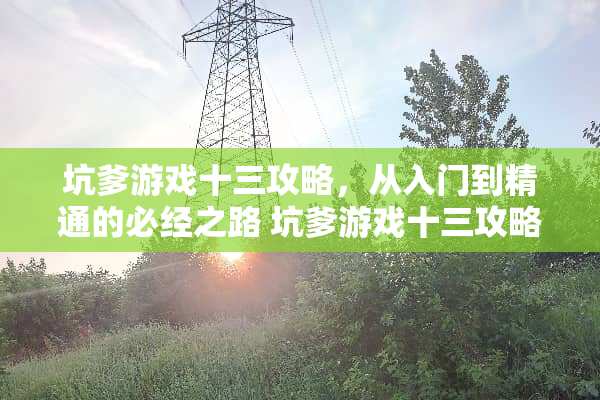坑爹游戏十三攻略,从入门到精通的必经之路 坑爹游戏十三攻略 坑爹游戏十三攻略,从入门到精通的必经之路 坑爹游戏十三攻略