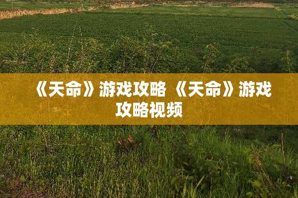 《天命》游戏攻略 《天命》游戏攻略视频 《天命》游戏攻略 《天命》游戏攻略视频