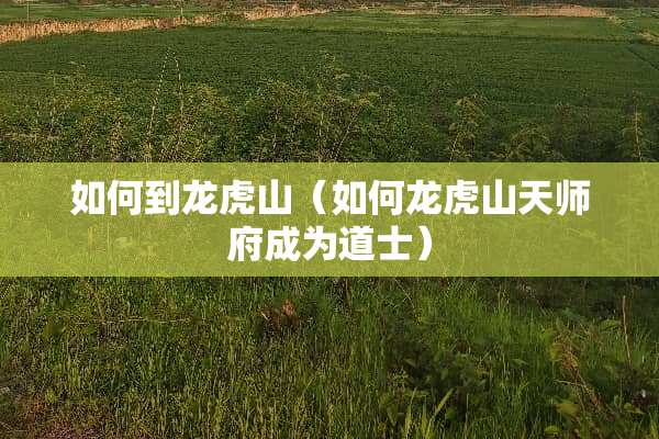 如何到龙虎山(如何龙虎山天师府成为道士)