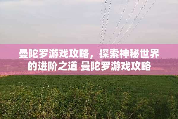 曼陀罗游戏攻略,探索神秘世界的进阶之道 曼陀罗游戏攻略 曼陀罗游戏攻略,探索神秘世界的进阶之道 曼陀罗游戏攻略