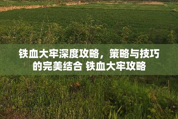 铁血大牢深度攻略,策略与技巧的完美结合 铁血大牢攻略 铁血大牢深度攻略,策略与技巧的完美结合 铁血大牢攻略