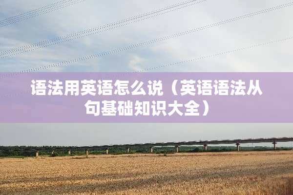 语法用英语怎么说(英语语法从句基础知识大全) 语法用英语怎么说(英语语法从句基础知识大全)