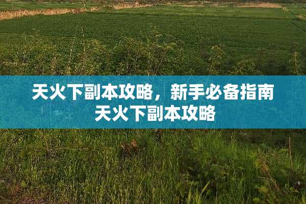 天火下副本攻略,新手必备指南 天火下副本攻略 天火下副本攻略,新手必备指南 天火下副本攻略