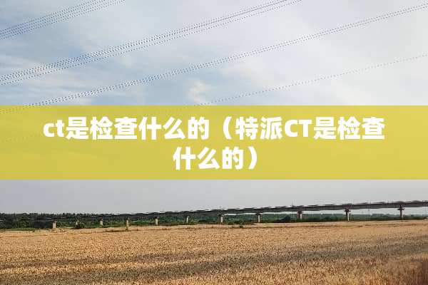 ct是检查什么的(特派CT是检查什么的) ct是检查什么的(特派CT是检查什么的)