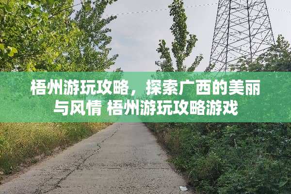 梧州游玩攻略，探索广西的美丽与风情 梧州游玩攻略游戏