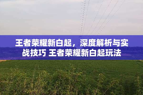 王者荣耀新白起,深度解析与实战技巧 王者荣耀新白起玩法 王者荣耀新白起,深度解析与实战技巧 王者荣耀新白起玩法