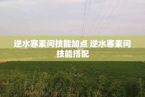 逆水寒素问技能加点 逆水寒素问技能搭配