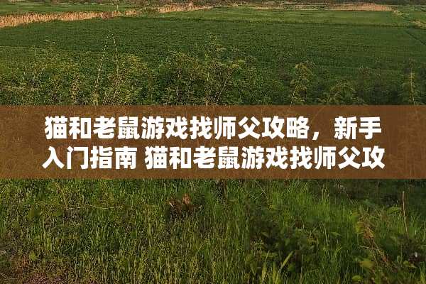 猫和老鼠游戏找师父攻略，新手入门指南 猫和老鼠游戏找师父攻略