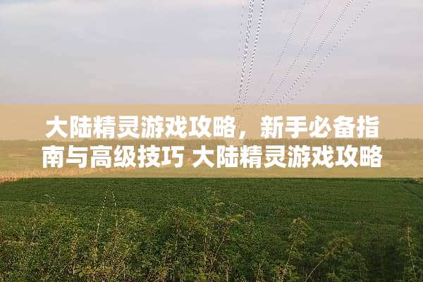 **精灵游戏攻略，新手必备指南与高级技巧**精灵游戏攻略