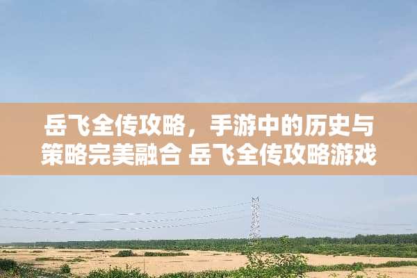 岳飞全传攻略,手游中的历史与策略完美融合 岳飞全传攻略游戏 岳飞全传攻略,手游中的历史与策略完美融合 岳飞全传攻略游戏