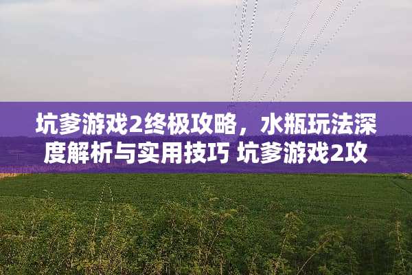 坑爹游戏2终极攻略,水瓶玩法深度解析与实用技巧 坑爹游戏2攻略水瓶