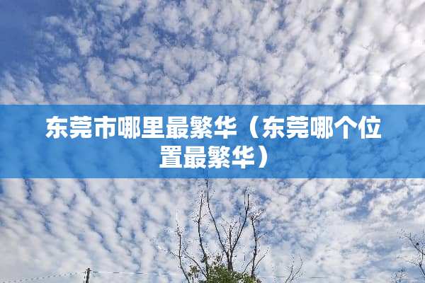 东莞市哪里最繁华(东莞哪个位置最繁华) 东莞市哪里最繁华(东莞哪个位置最繁华)