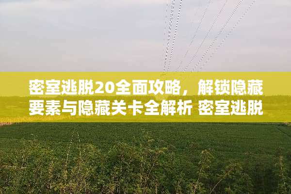 密室逃脱20全面攻略，解锁隐藏要素与隐藏关卡全解析 密室逃脱20攻略