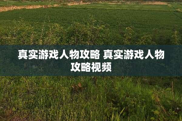 真实游戏人物攻略 真实游戏人物攻略视频
