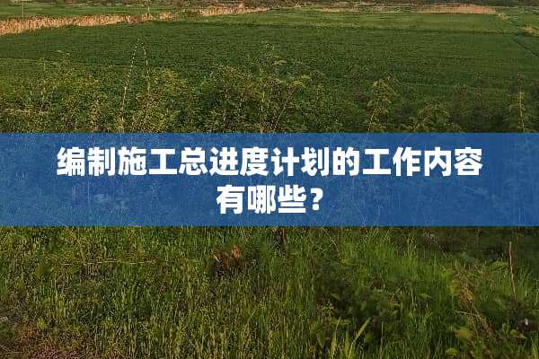 编制施工总进度计划的工作内容有哪些？
