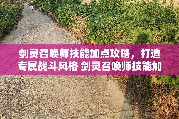 剑灵召唤师技能加点攻略，打造专属战斗风格 剑灵召唤师技能加点