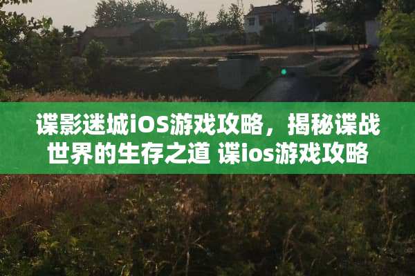 谍影迷城iOS游戏攻略,揭秘谍战世界的生存之道 谍ios游戏攻略 谍影迷城iOS游戏攻略,揭秘谍战世界的生存之道 谍ios游戏攻略