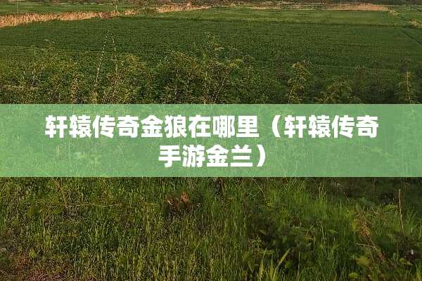 轩辕传奇金狼在哪里（轩辕传奇手游金兰）