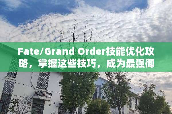 Fate/Grand Order技能优化攻略,掌握这些技巧,成为最强御主 fate技能 Fate/Grand Order技能优化攻略,掌握这些技巧,成为最强御主 fate技能