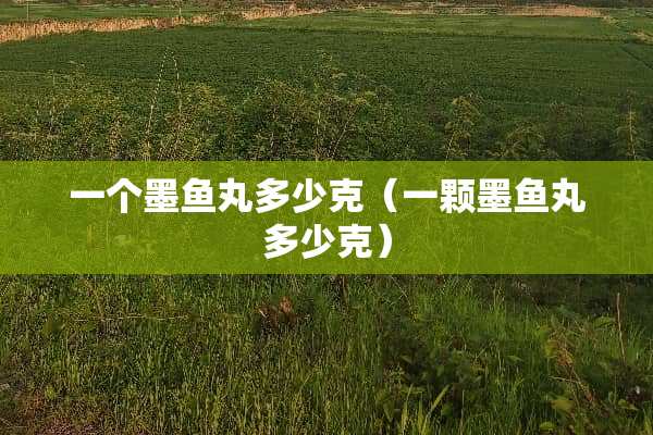 一个墨鱼丸多少克(一颗墨鱼丸多少克) 一个墨鱼丸多少克(一颗墨鱼丸多少克)